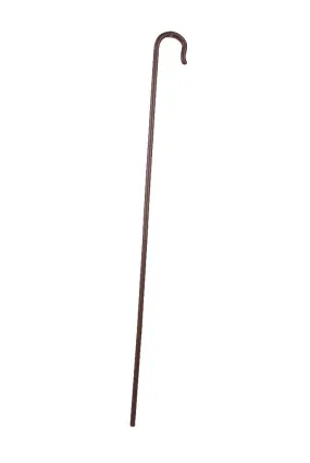 Biblical Shepherd's Cane