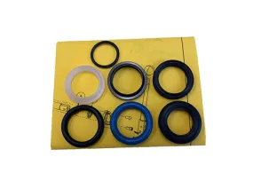 (BR004101-SK) KIT SEAL BRAND VALVE (LSJRS-K)