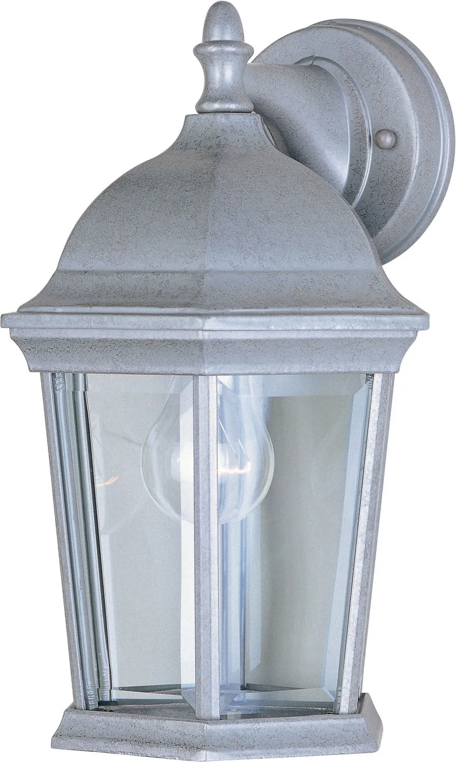 Builder Cast 1-Light Outdoor Wall Lantern in Pewter with Clear Glass