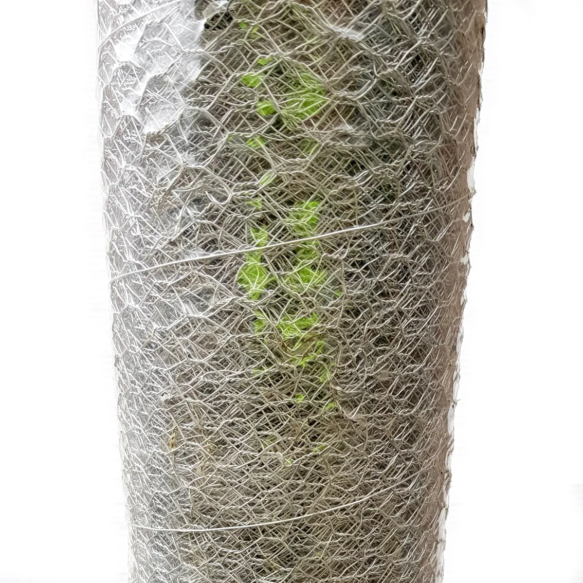 Chicken Wire - 12.5mm Opening x 1200mm High x 30m