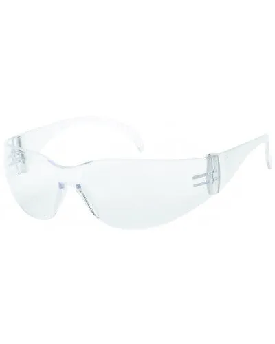 Clear Anti-Fog Lens - Wrap-Around Style Safety Glasses