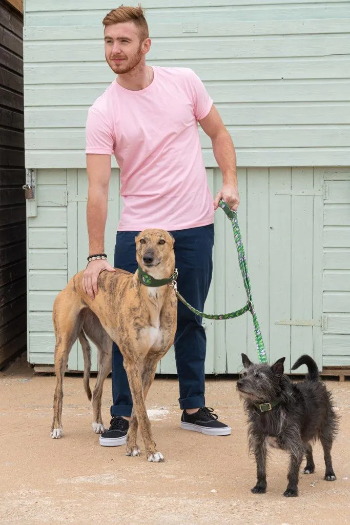 Combs Hound Collar