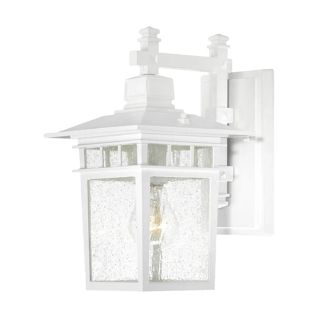 COVE NECK 1 LIGHT OUTDOOR WALL