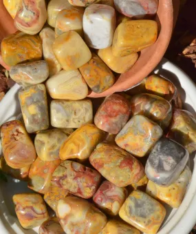 Crazy Lace Agate Tumbled Stones