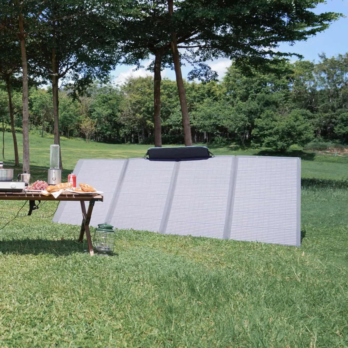 EcoFlow Portable Solar Panel | 400 Watts