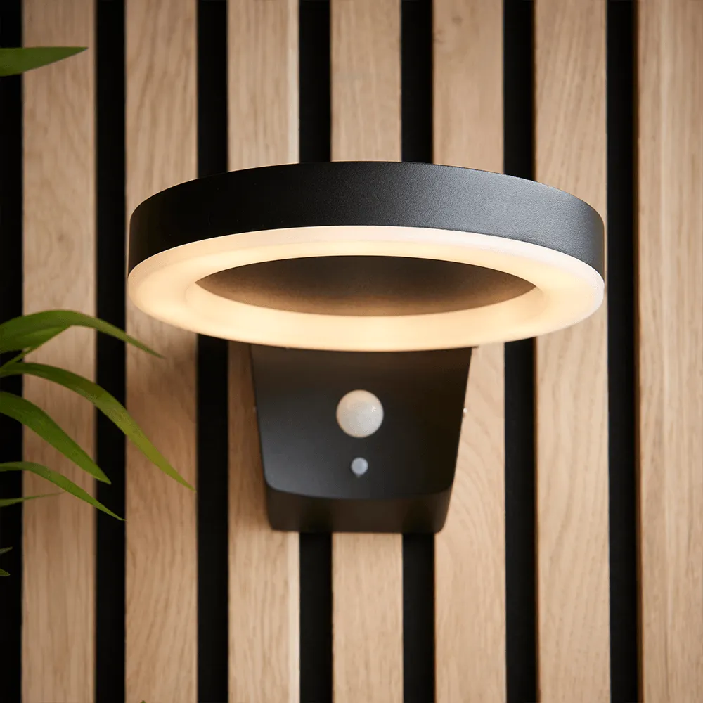 Endon Ebro LED Solar Wall Light in Black