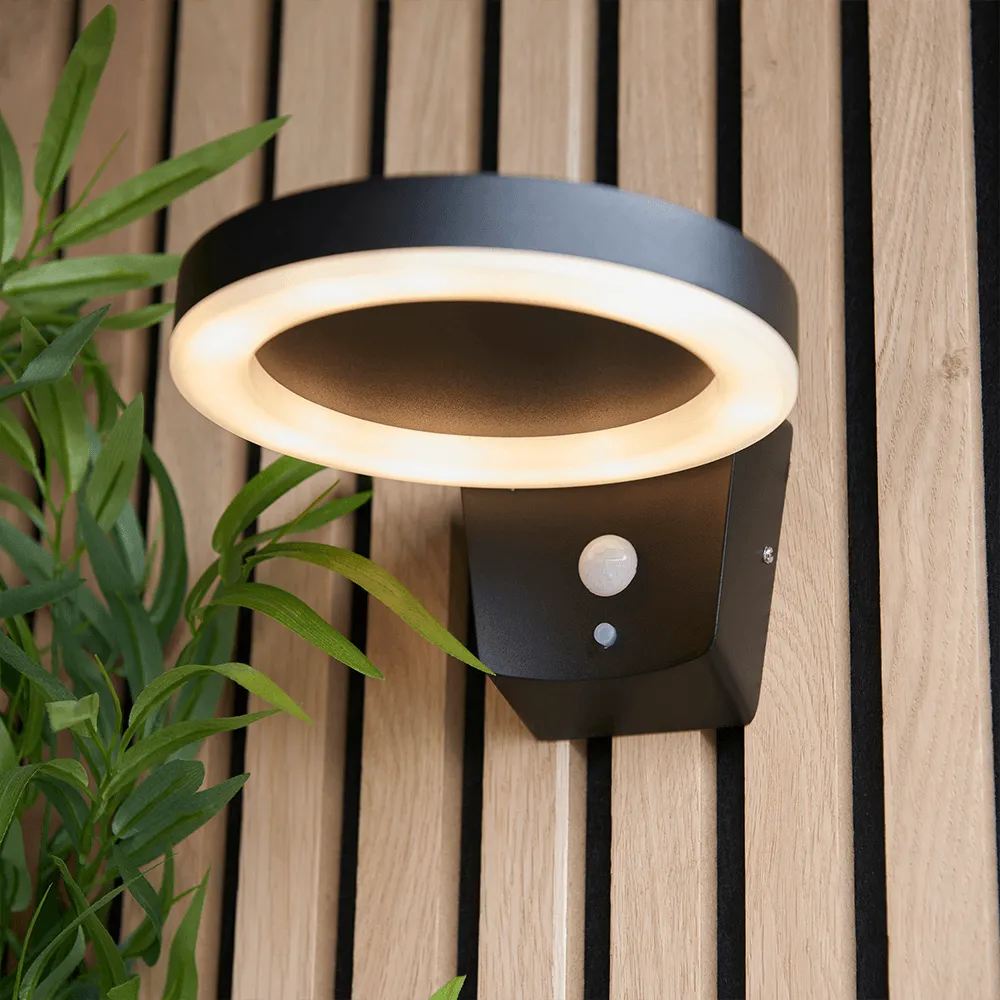 Endon Ebro LED Solar Wall Light in Black