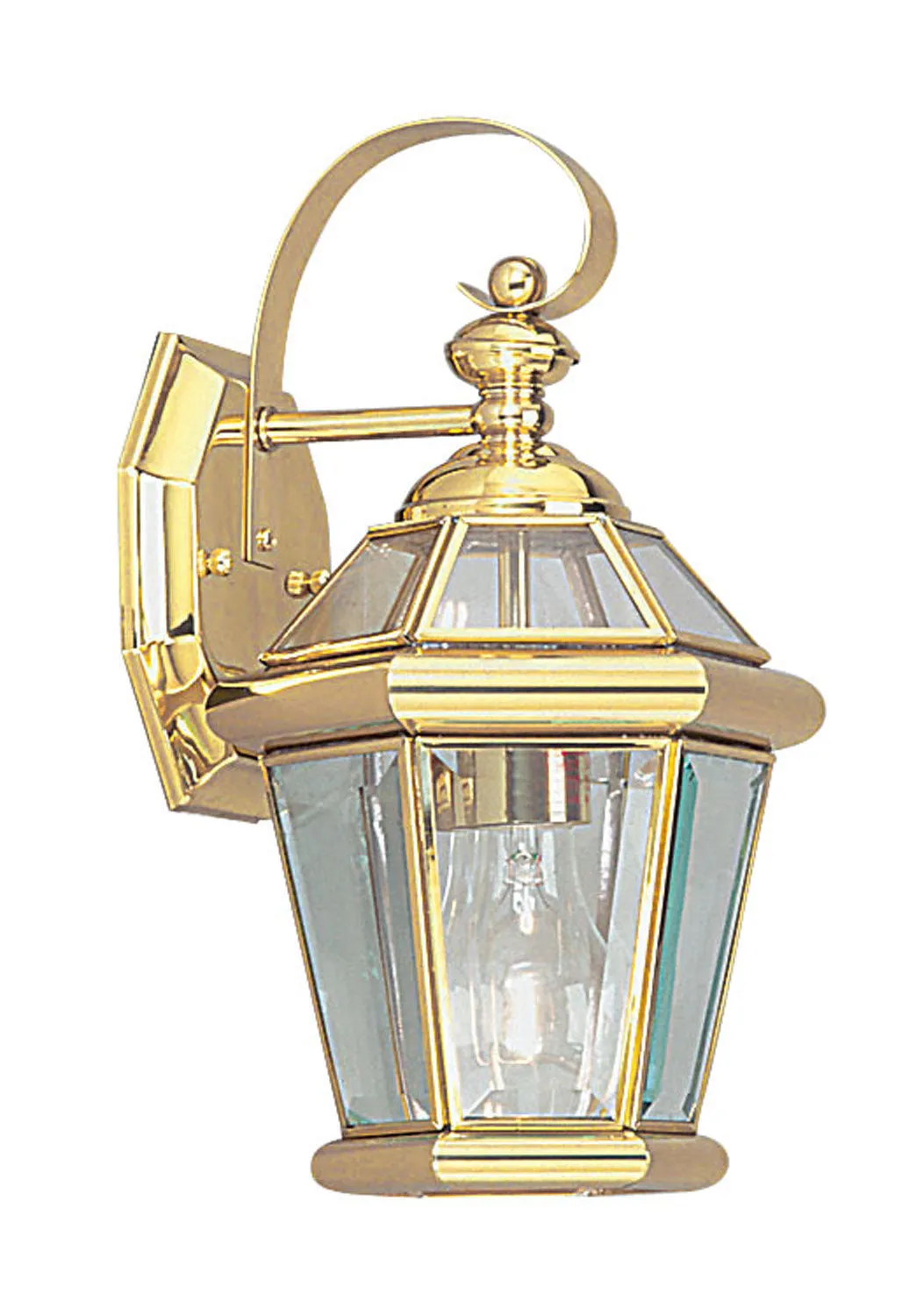 Georgetown 1-Light Outdoor Wall Lantern