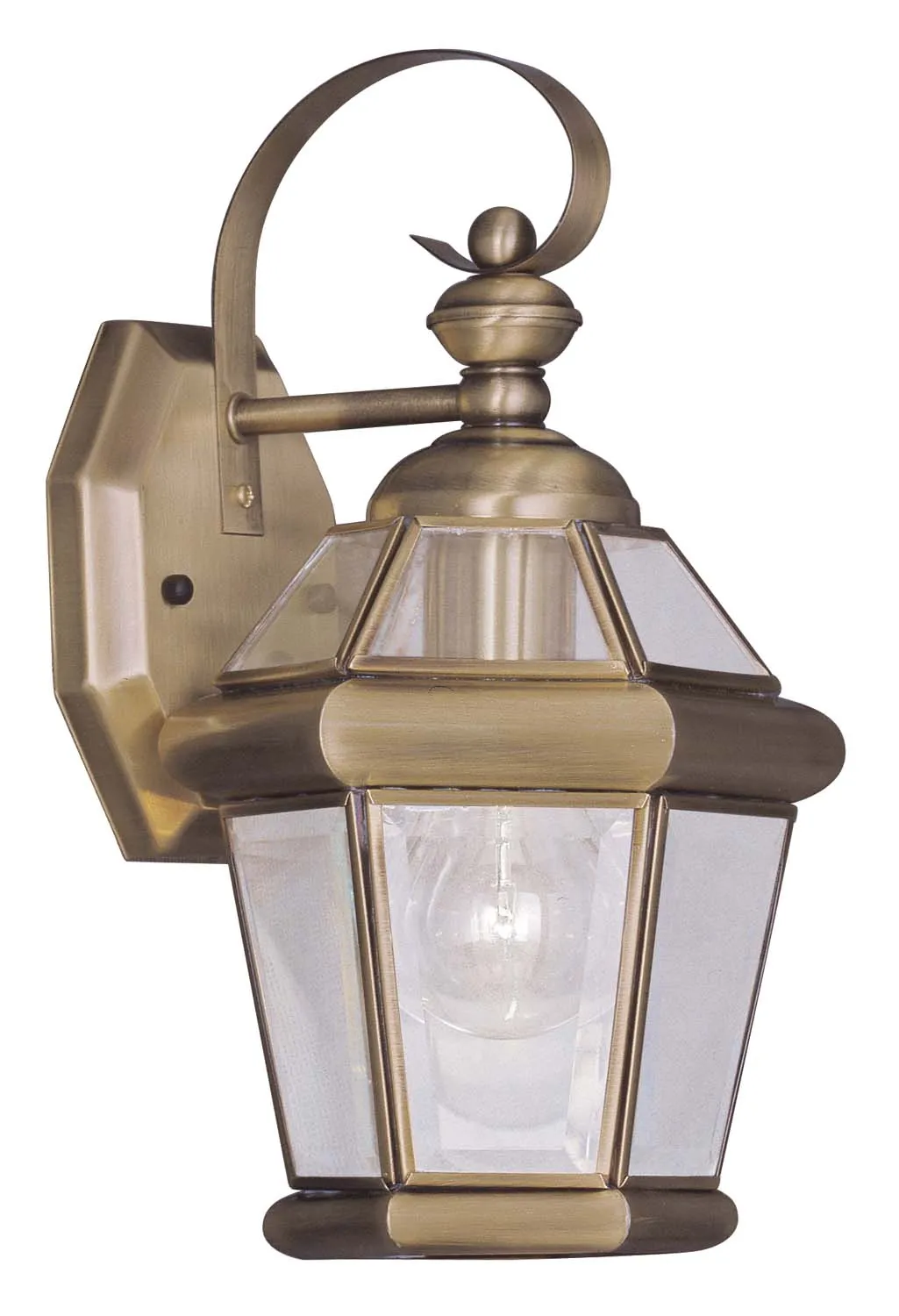 Georgetown 1-Light Outdoor Wall Lantern