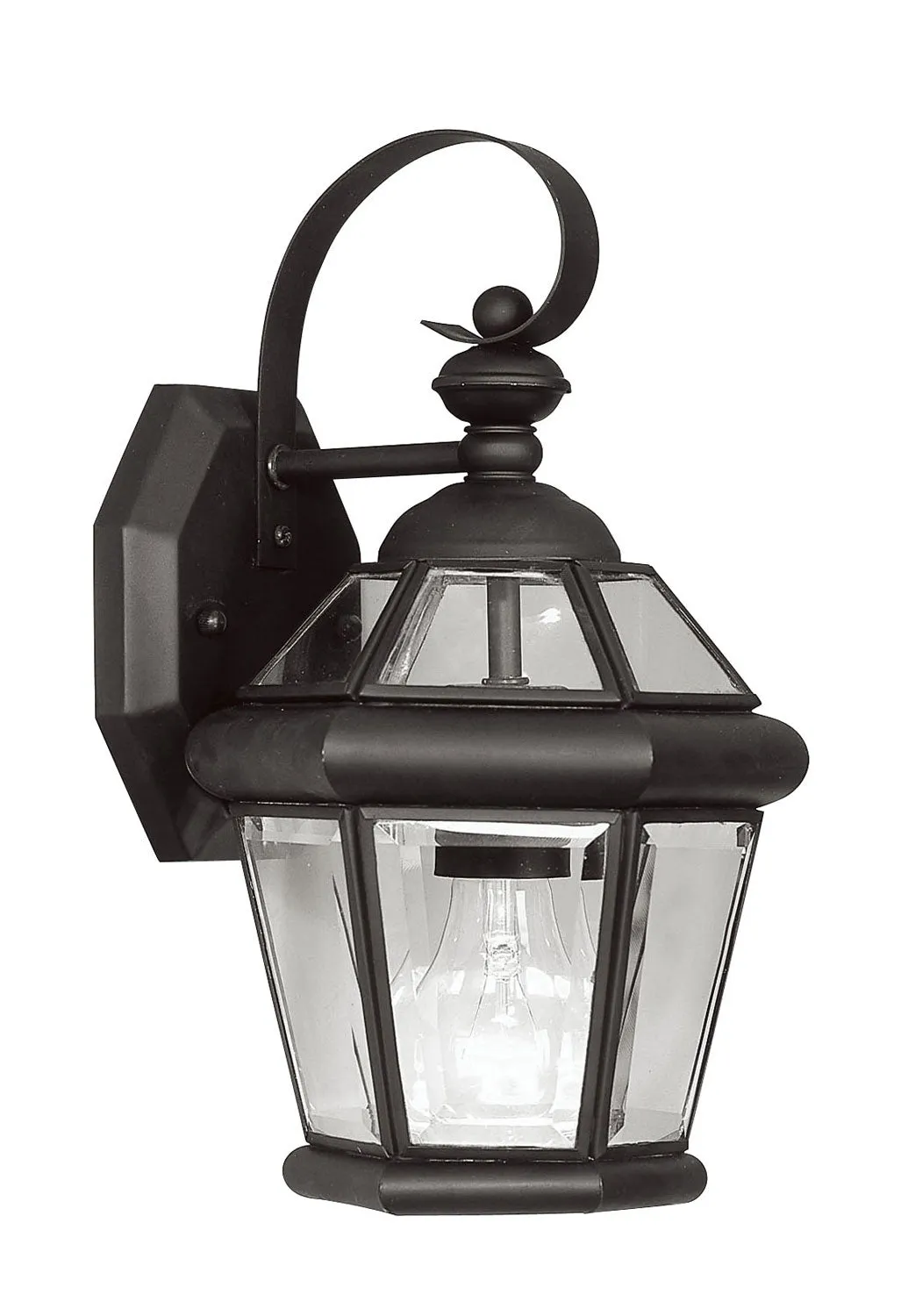 Georgetown 1-Light Outdoor Wall Lantern