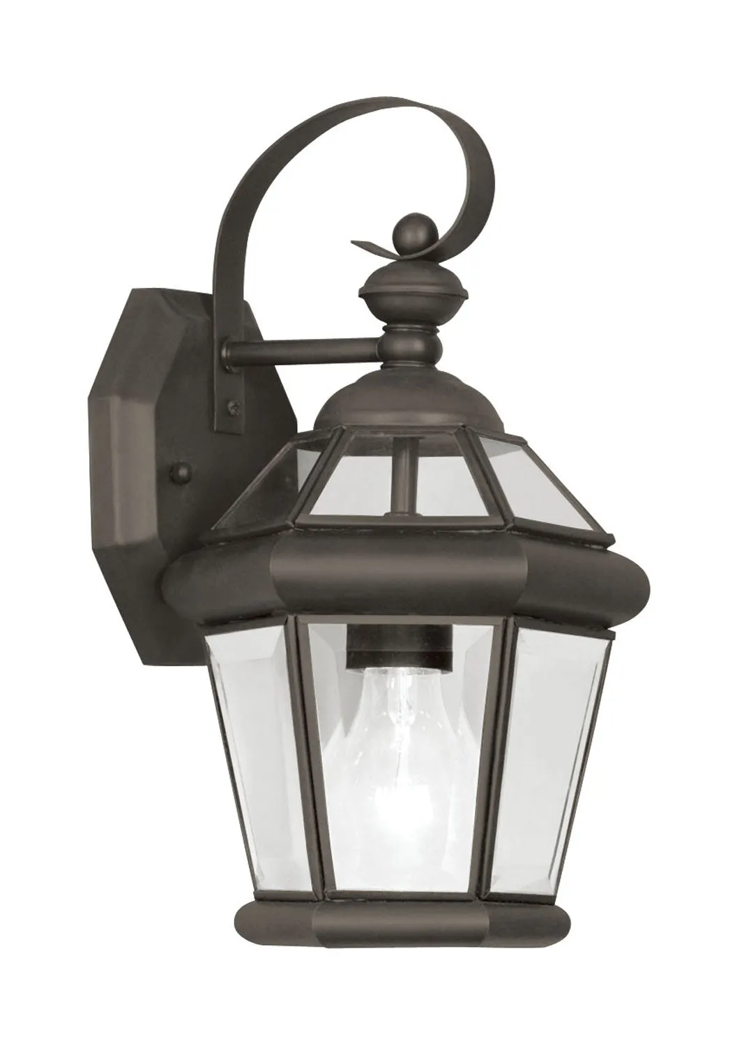 Georgetown 1-Light Outdoor Wall Lantern