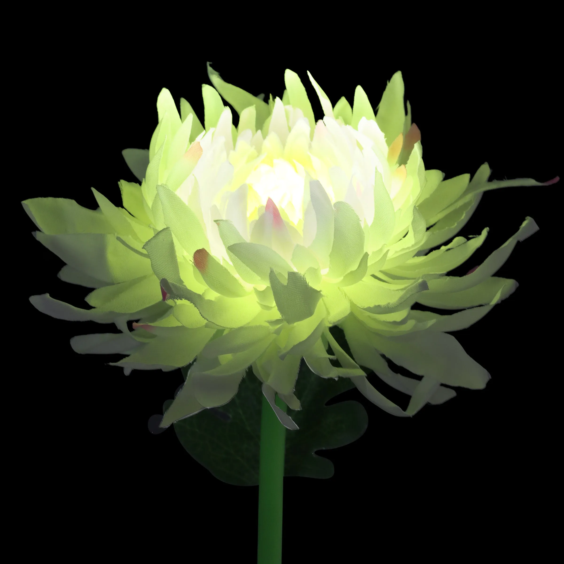 Solar White Mum Fabric Garden Stake with Color Changing LED, 5 by 30 Inches