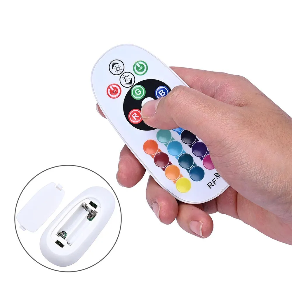 TheLAShop LED Neon Light RF Remote & Controller AC110V