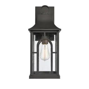 Triumph 1-Light Outdoor Wall Sconce in Textured Black